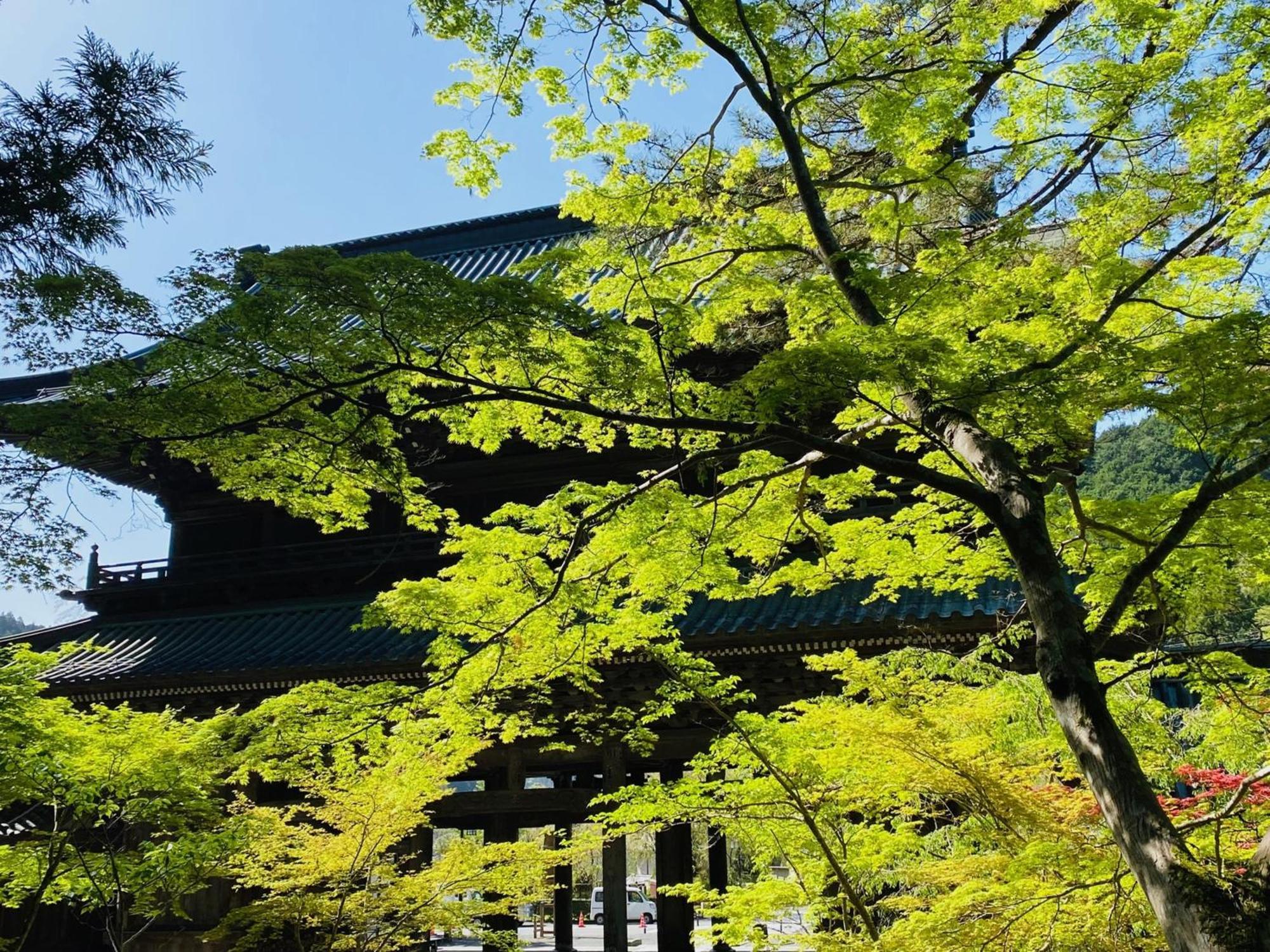 Tanakaya Ryokan Minobu Eksteriør billede