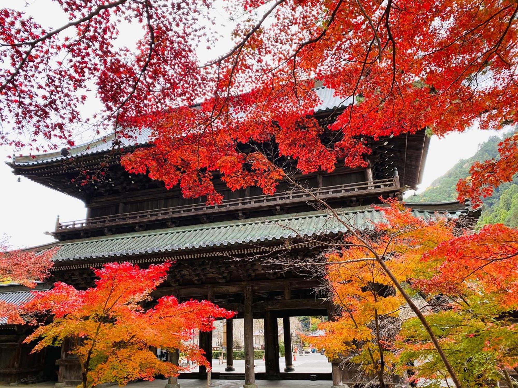 Tanakaya Ryokan Minobu Eksteriør billede