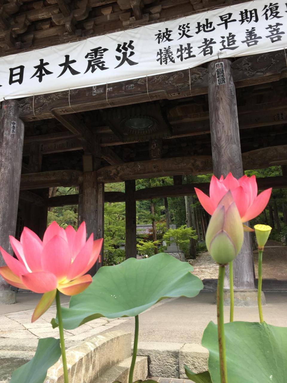 Tanakaya Ryokan Minobu Eksteriør billede